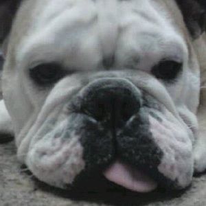 Meet your Posher, Jill